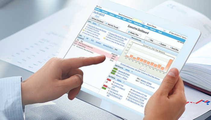 Dance studio owner is using the Jackrabbit Executive Dashboard to generate a report for tax  preparation.