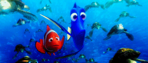 gif of dory and marlin hugging reentry buddy
