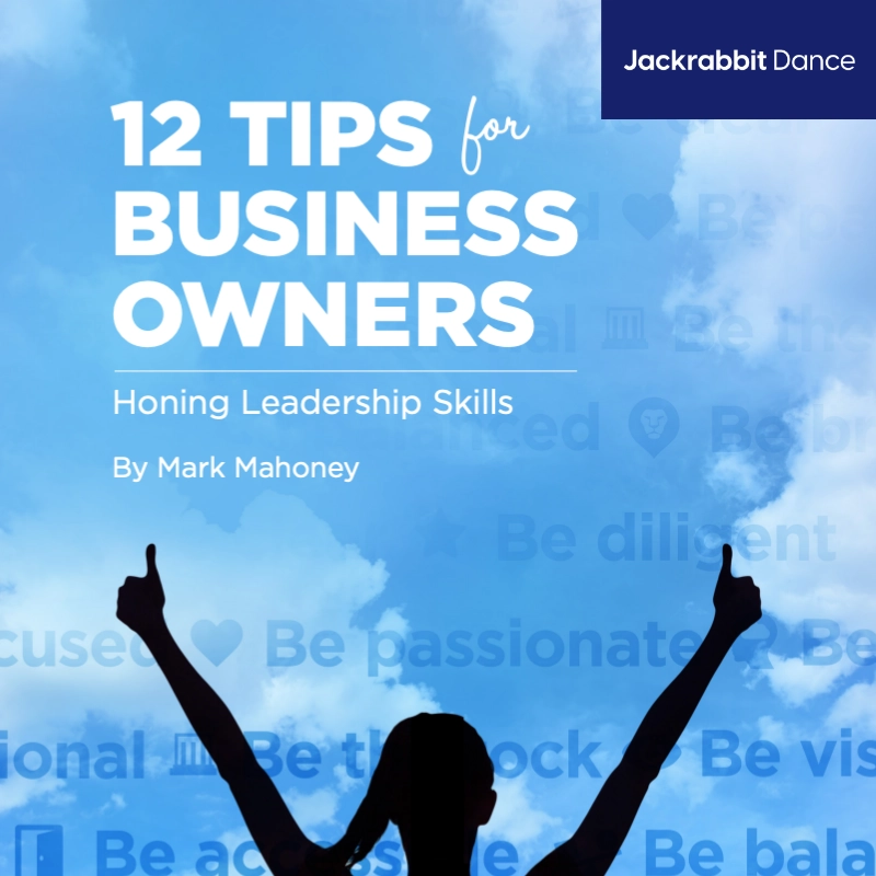 12 tips for business owners ebook cover