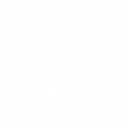 C&H Financial Jackrabbit Dance partner