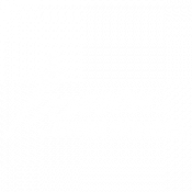 Barron Swim logo