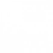 Dynamix Gymnastics logo